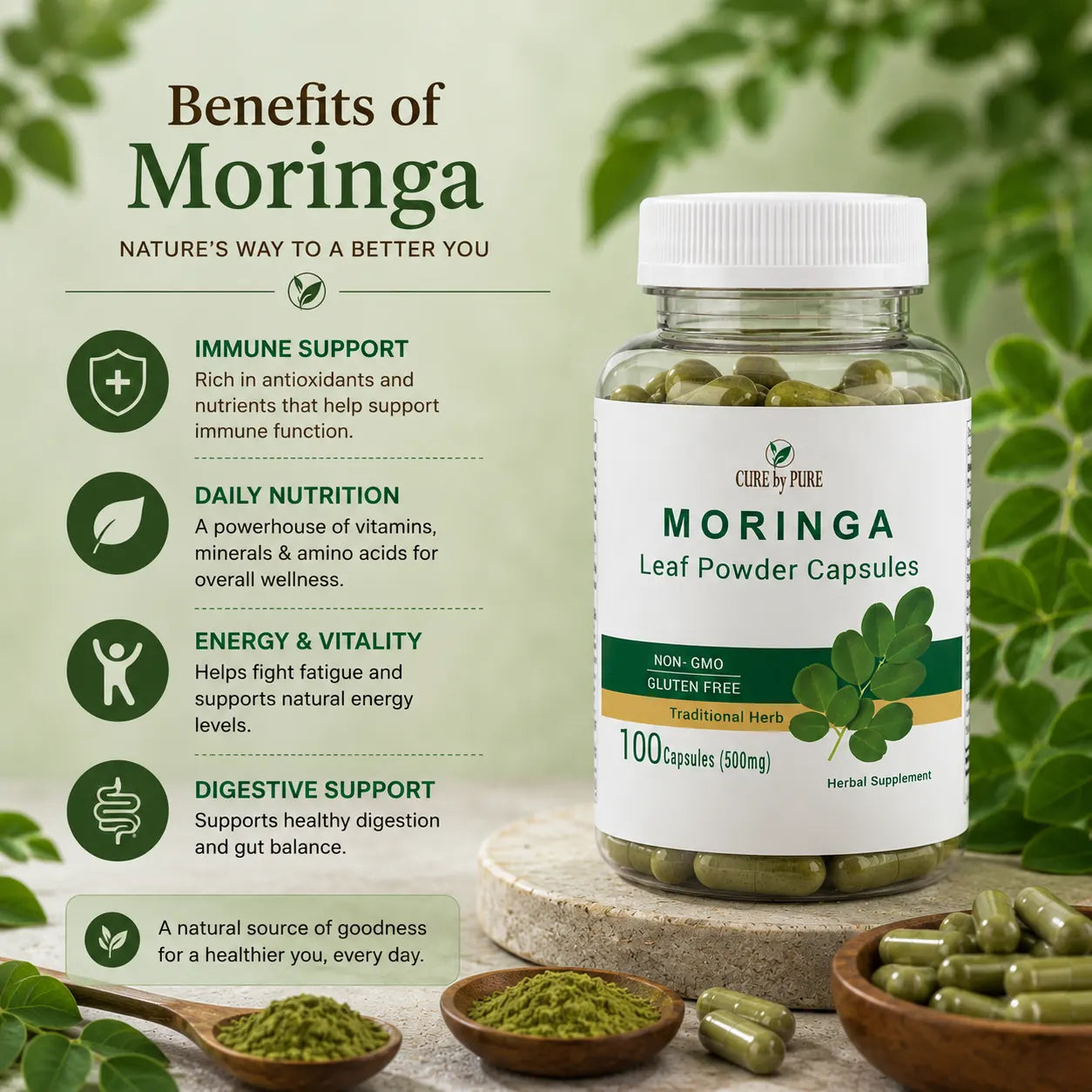 moringa capsules benefits vitamins minerals Pakistan daily wellness